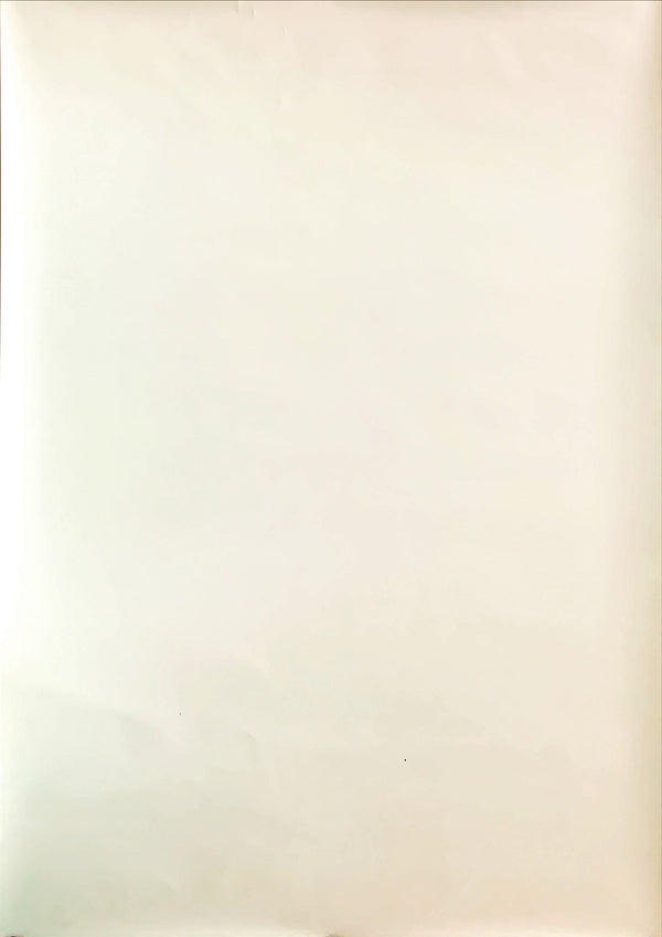 "The Pianist", Original Japanese Movie Poster 2015, B2 Size (51 x 73cm)