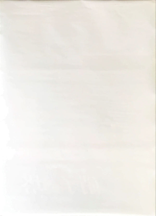 "Sliver", Original Release Japanese Movie Poster 1993, B2 Size (51 x 73cm)