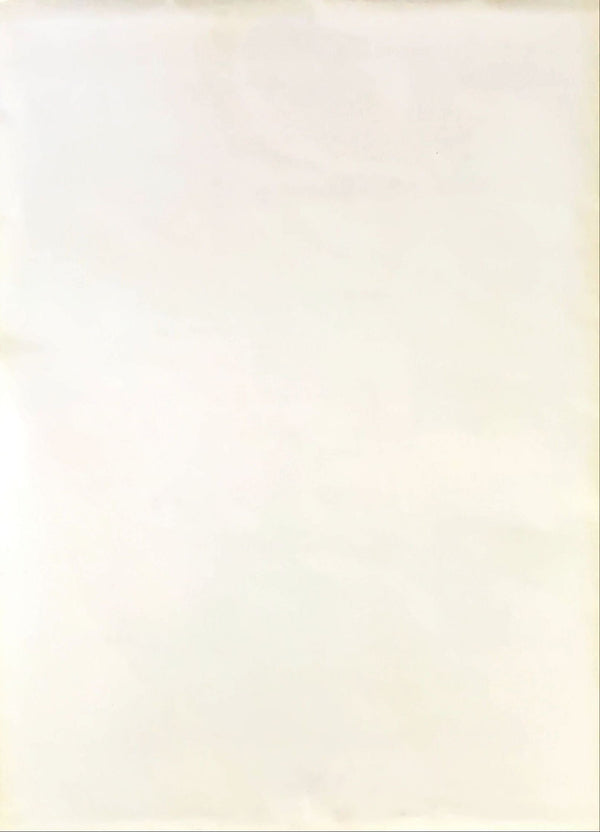 "Sweet Home", Original Release Japanese Horror Movie Poster 1989, B2 Size (51 x 73cm)