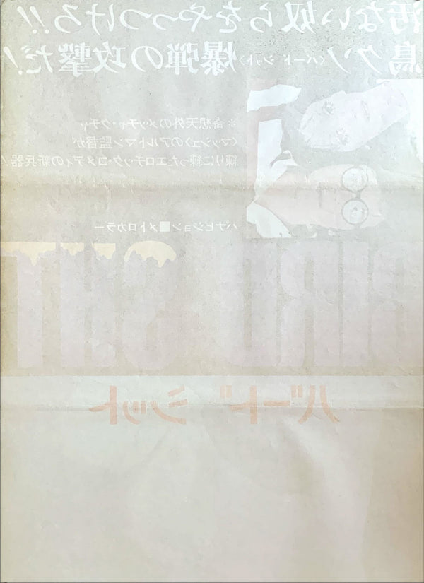 "Brewster McCloud", Original Japanese Movie Poster 1971, B2 Size (51 x 73cm)