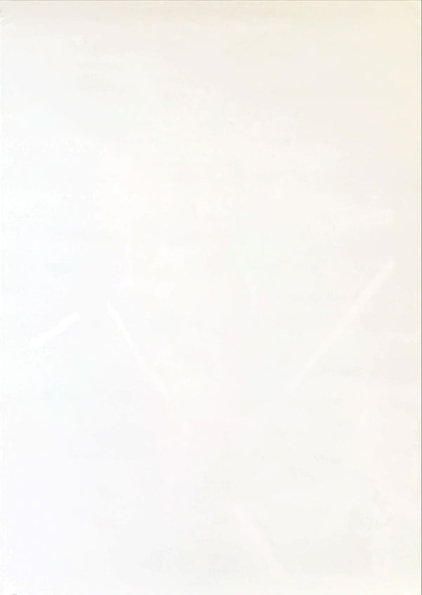 "Star Wars: The Force Awakens", Original First Release Japanese Promotional Poster 2015, B2 Size (51 x 73cm)