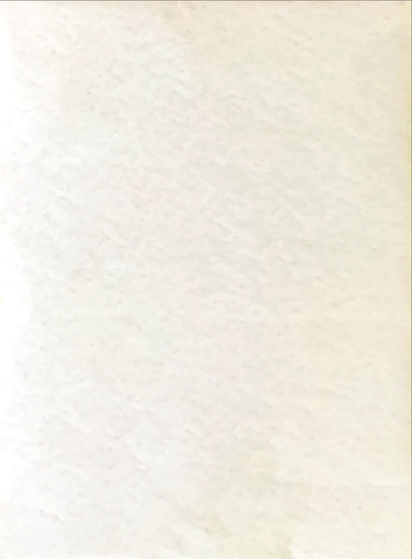 "Makavejev Film Collection", Original Japanese Movie Poster 1994, B2 Size (51 x 73cm)