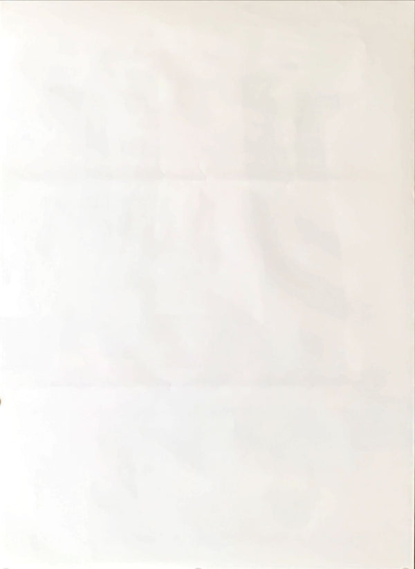 "Catch Me If You Can", Original Japanese Movie Poster 2002, B2 Size (51 x 73cm)