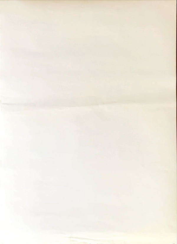 "The Irishman", Original Release Japanese Movie Poster 2019, B2 Size (51 x 73cm)