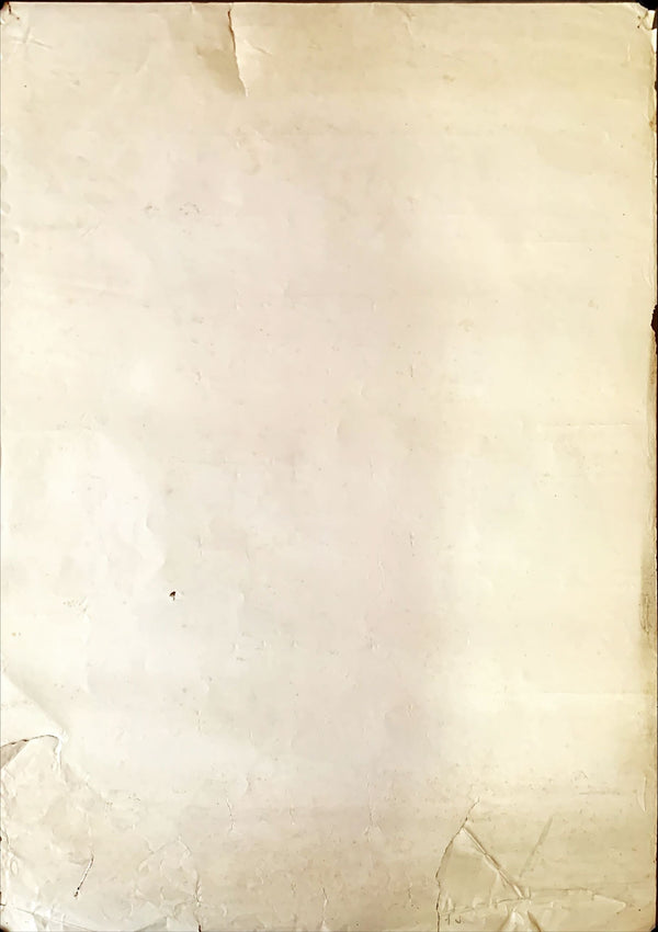 "Pollyanna", Original First Release Japanese Movie Poster 1960, Rare, B2 Size (51 x 73cm)