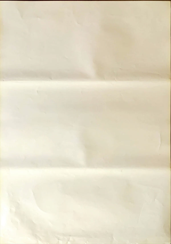 "Live Flesh", Original Release Japanese Movie Poster 1997, B2 Size (51 x 73cm)