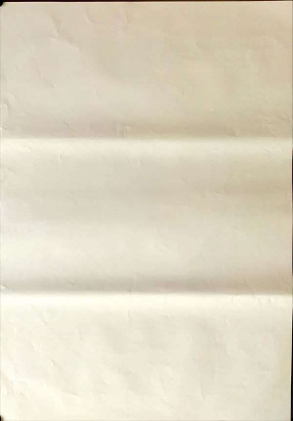 "Volver", Original Release Japanese Movie Poster 2006, B2 Size (51 x 73cm)