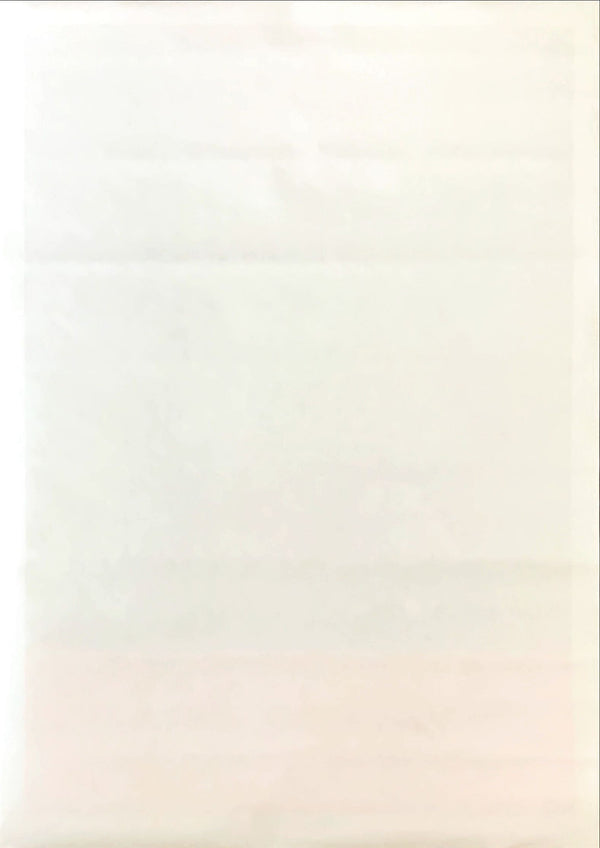 "Change Nothing", Original Release Japanese Movie Poster 2009, B2 Size (51 x 73cm)