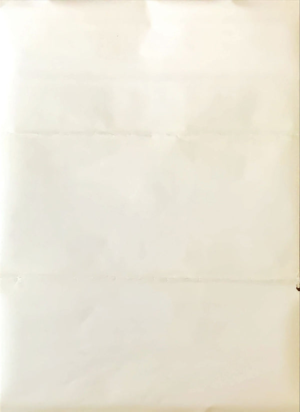 "Pink Floyd The Wall", Original Release Japanese Movie Poster 1982, B2 Size (51 x 73cm)