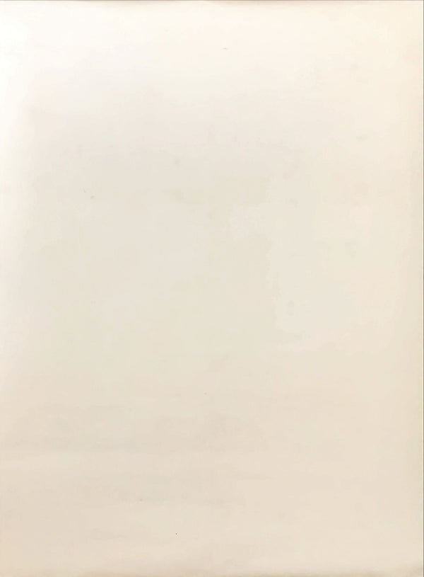 "Room 237", Original Release Japanese Movie Poster 2012, B2 Size (51 x 73cm)