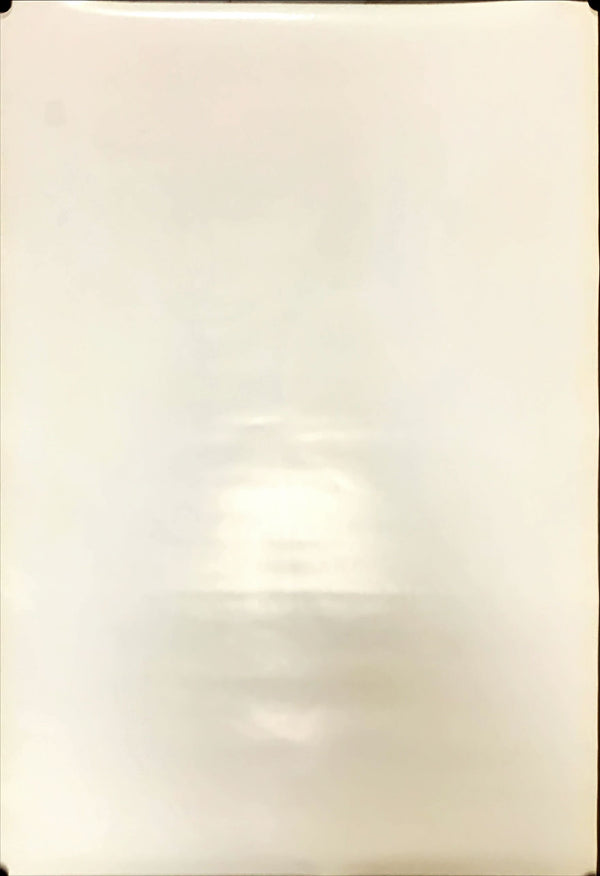 "Hail! Hail! Rock 'n' Roll", Original Release Japanese Movie Poster 1987, B2 Size (51 x 73cm)