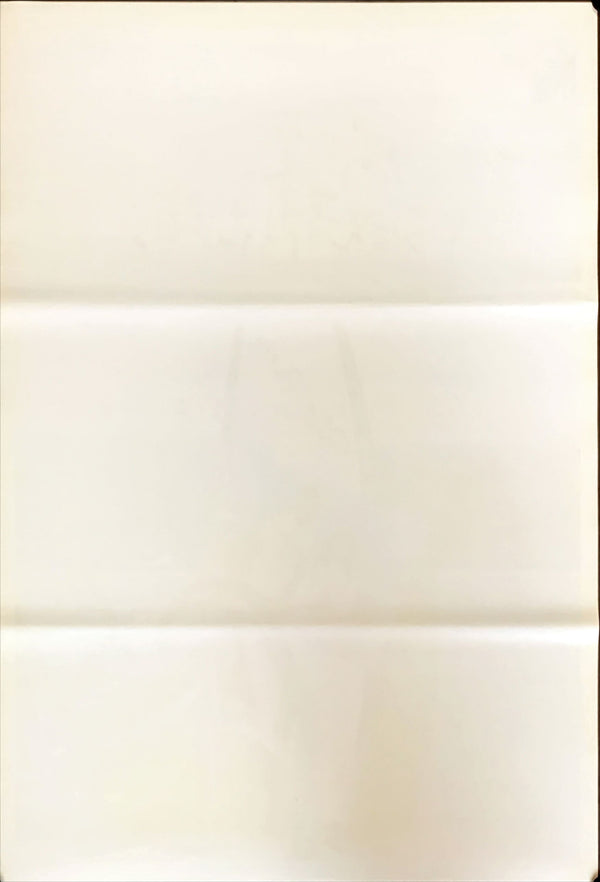 "A Scene at the Sea", Original Japanese Movie Poster 1991, B2 Size (51 x 73cm)