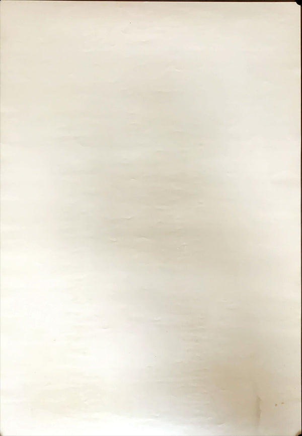 "Nutcracker Fantasy", Original Release Japanese Movie Poster 1979, B2 Size (51 x 73cm)