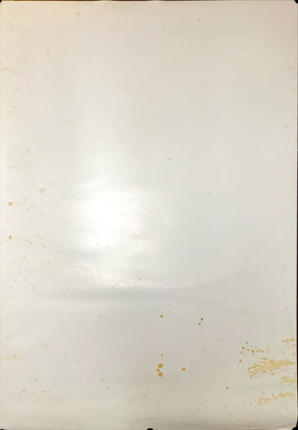 "Leon The Professional", Original Release Japanese Movie Poster 1996, RARE, B1 Size