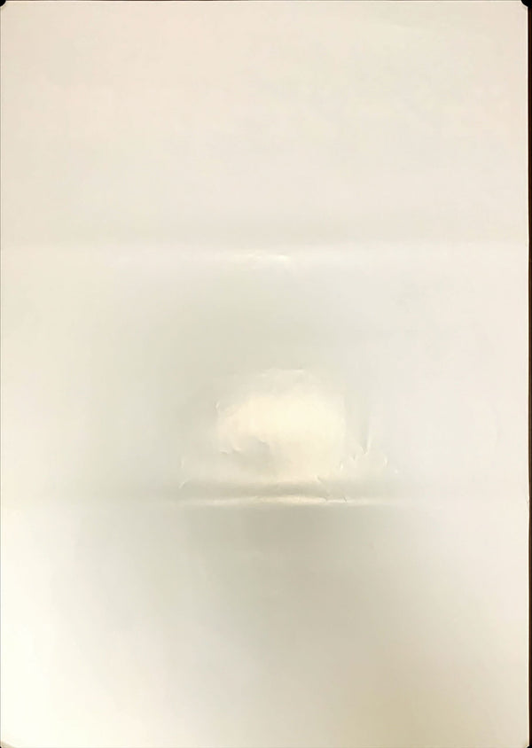 "The Assassination of Jesse James by the Coward Robert Ford", Original Release Japanese Movie Poster 2007, B2 Size (51 x 73cm)