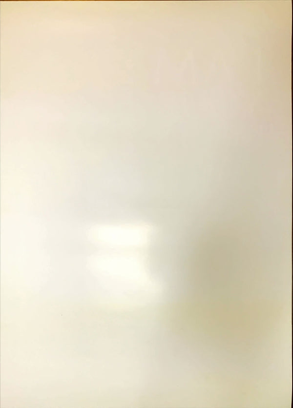 "I Am Your Father", Original Release Japanese Movie Poster 2015, B2 Size (51 x 73cm)