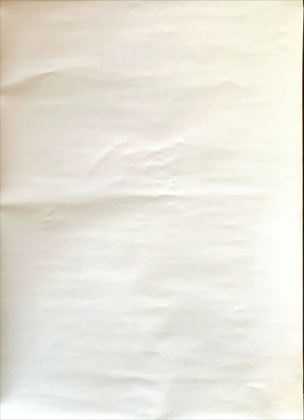 "The Birth of Love", Original Release Japanese Movie Poster 1993, B2 Size (51 x 73cm)