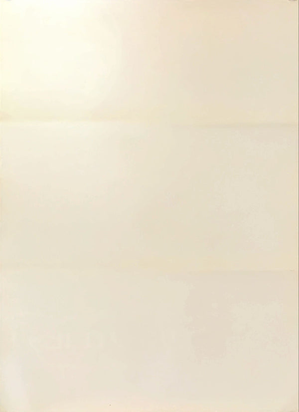 "Erin Brockovich", Original First Release Japanese Movie Poster 2000s, B2 Size (51 x 73cm)