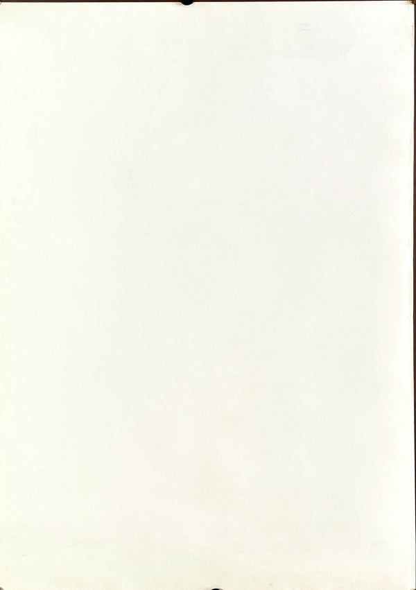 "Privates Lives", Original Release Japanese Movie Poster 2001, B2 Size (51 x 73 cm)