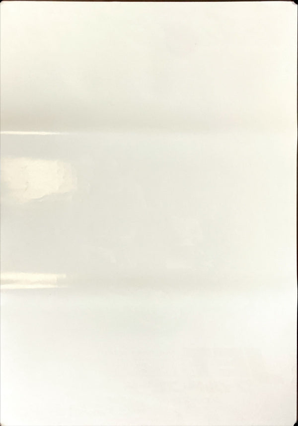 "F9", Original Release Japanese Movie Poster 2021, B2 Size (51 x 73cm)