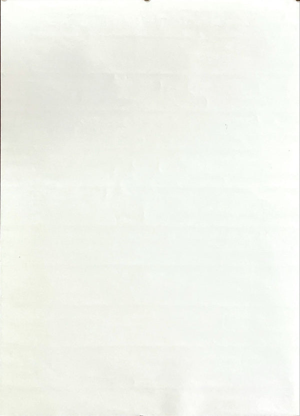 "Neon Genesis: Evangelion", Original Japanese Poster 1997, Gainax, B2 Size (51 x 73cm)