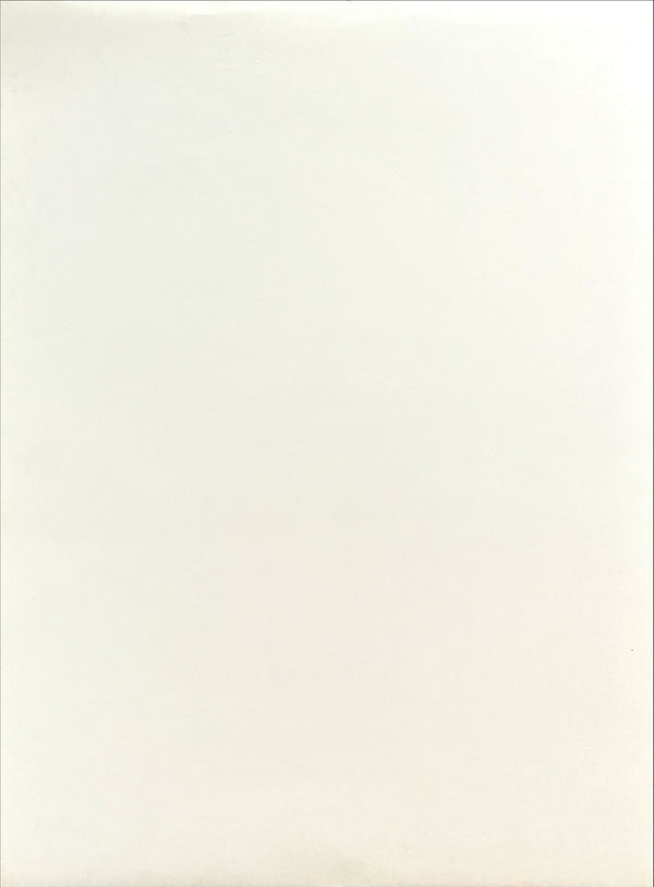 "Amy", Original Release Japanese Movie Poster 2015, B1 Size