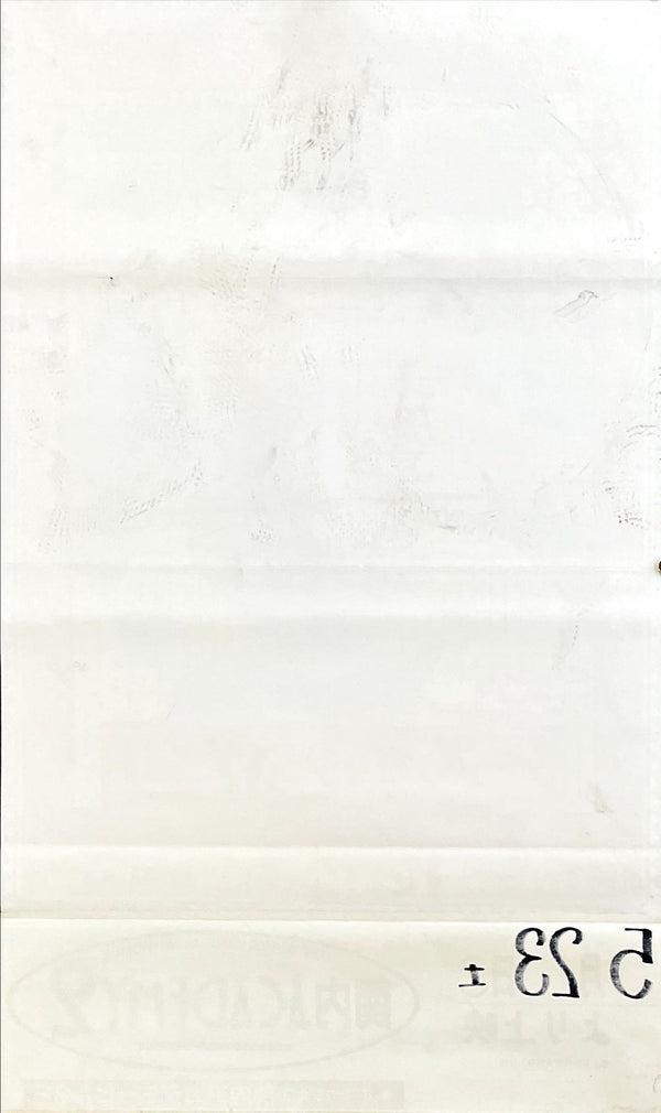 "She's Gotta Have It", Original Release Japanese Movie Poster 1986, B2 Size (51 x 73cm)