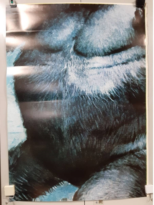 "King Kong", Original First Release Japanese Movie Poster 1976, Extremely Rare and Massive Premiere Billboard Size (B1 x 9: 210cm x 310 cm)