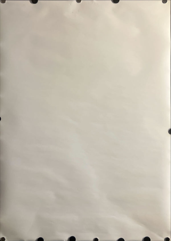 "Princess Mononoke (もののけ姫)", Original Japanese DVD Release Promotional Poster 1997, B2 Size (51 × 73 cm) ZA734