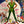 “Peter Pan” (ピーター・パン), Original Re-Release Japanese Movie Poster 1975, B2 Size (51 x 73cm) G167