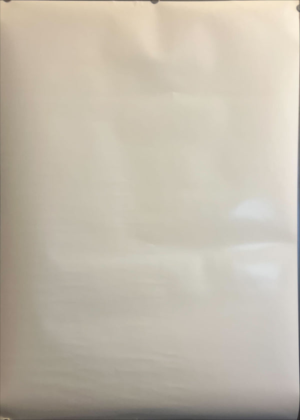 “Evangelion: 1.0 You Are (Not) Alone”, Original Release Japanese Movie Poster 2007, B2 Size (51 × 73 cm) ZA878