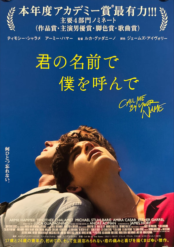 "Call Me by Your Name", Original Release Japanese Movie Poster 2017, B5 Size (18 x 25cm)