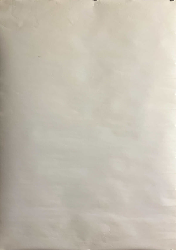 “Pokémon – Lugia, Ash & Pikachu” (ポケットモンスター), Original Japanese Banpresto Poster 2000, Landscape B2 Size (73 × 51 cm) — ZA1216