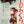 “Shibire Kurage” (しびれくらげ), Original Release Japanese Movie Poster 1970, STB Tatekan Size (51 × 145 cm) B122A