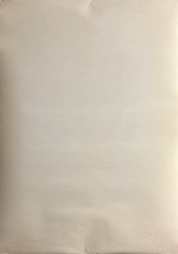 "Princess Mononoke" (もののけ姫), Original Japanese First-Release Teaser Movie Poster 1997, B2 Size (51 × 73 cm) L200A