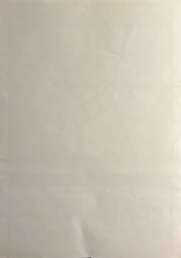 “My Left Foot” (マイ・レフトフット), Original Release Japanese Movie Poster 1990, B2 Size (51 × 73 cm) B202A