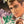 “SOIS BELLE ET TAIS-TOI”, Original Release Japanese Movie Poster 1963, STB Tatekan (51 × 145 cm) — Ultra Rare D73A