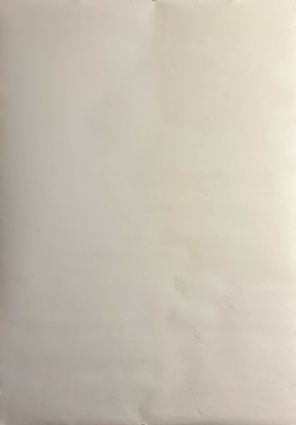 “Neon Genesis Evangelion DVD Volume 6” (新世紀エヴァンゲリオン), Original Japanese Promotional Poster 1998, B2 Size (51 × 73 cm) D66A