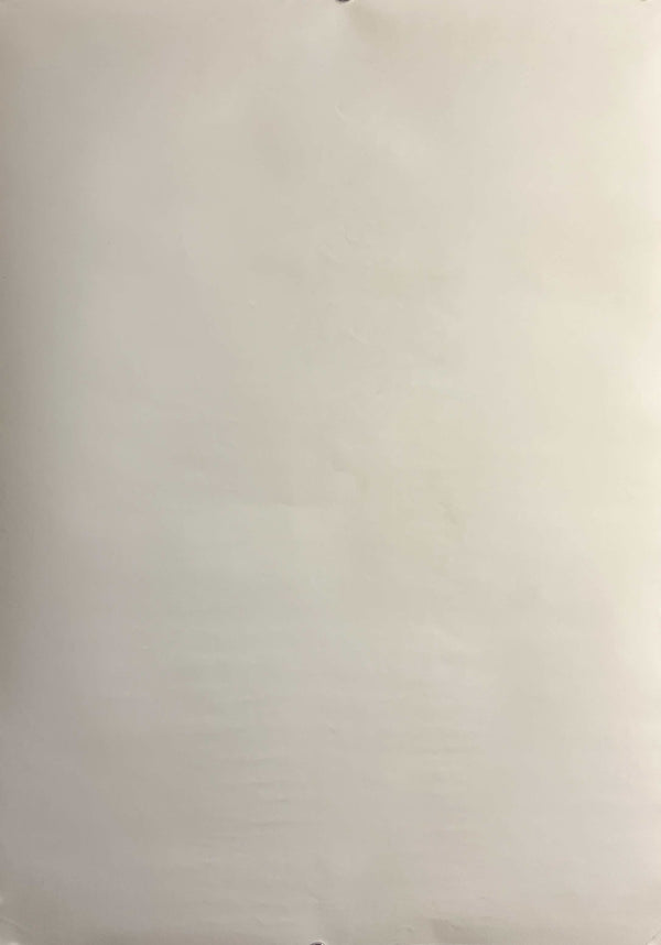 “Neon Genesis Evangelion: Genesis 0:14” (新世紀エヴァンゲリオン), Original Japanese Promotional Poster 1999, B2 Size (51 × 73 cm) E138B