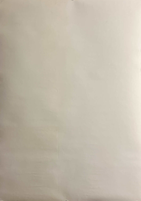 “Neon Genesis Evangelion: Genesis 0:12” (新世紀エヴァンゲリオン), Original Japanese Promotional Poster 1996, Rei Ayanami, B2 Size (51 × 73 cm) B266A