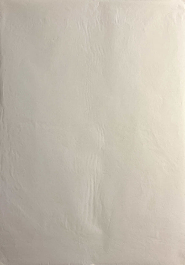 “NEON GENESIS EVANGELION / ASUKA LANGLEY SORYU”, Original Japanese SEGA Prize Poster, 1996–1997, Rare Metallic / Holographic Foil Variant, B2 Size (51 × 73 cm) B277