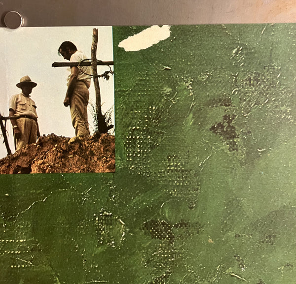 “The Green Wall” / 「みどりの壁」, Original Japanese Movie Poster 1971, B2 Size (51 × 73 cm) B285