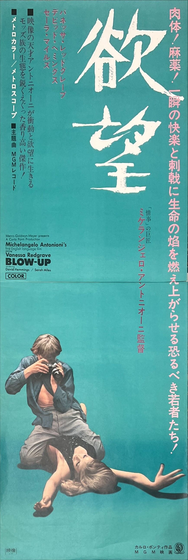 "Blow Up", Original Release Japanese Movie Poster 1967, Very Rare, STB Tatekan Size (51x145cm) J193