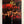 “Heaven and Earth” / 「天と地と」, Original First Release Japanese Movie Poster 1990, B1 Size (71 × 103 cm) HA40