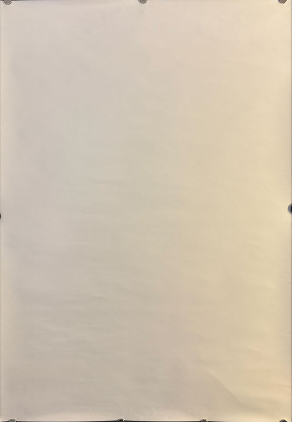 "Neon Genesis: Evangelion", Original Japanese Poster 1996, B2 Size (51 x 73cm) O226