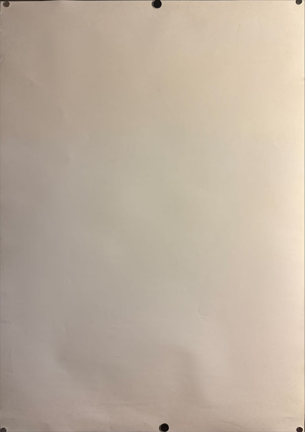 “Harry Potter and the Chamber of Secrets” (ハリー・ポッターと秘密の部屋), Original Release Japanese Movie Poster 2002, B1 Size (c. 71 × 103 cm)