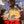 “The Return of Godzilla” (ゴジラ), Original Release Japanese Movie Poster 1984, B2 Size (51 × 73 cm) D289