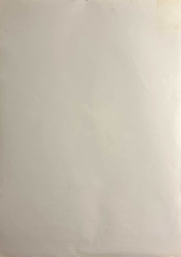 “Assassin’s Creed” / 「アサシン クリード」, Original Japanese Movie Poster 2017, B2 Size (51 × 73 cm) F256