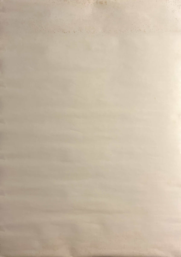 “Neon Genesis Evangelion: Death and Rebirth” (新世紀エヴァンゲリオン劇場版 シト新生), Original Japanese Promotional Poster 1997, B2 Size (51 × 73 cm) F279