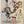 Aquirax Uno (宇野亞喜良 / Aquirax Uno) - Shinjuku Ryōzanpaku — Kaze no Hokori 「風のほこり」 (Dust of the Wind), Shibai‑Toride: Mantenboshi‑hen 「芝居砦・満天星篇」, Japanese Contemporary Art Poster, Original Offset Screen 2010 (for 2011 run),Rare, Size (c.51 × 73cm) O306